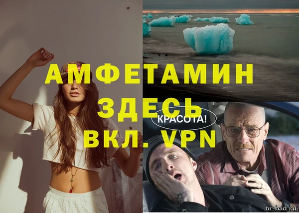 ГАЛЛЮЦИНОГЕННЫЕ ГРИБЫ Вязники